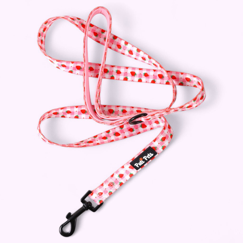 Dog Leashes