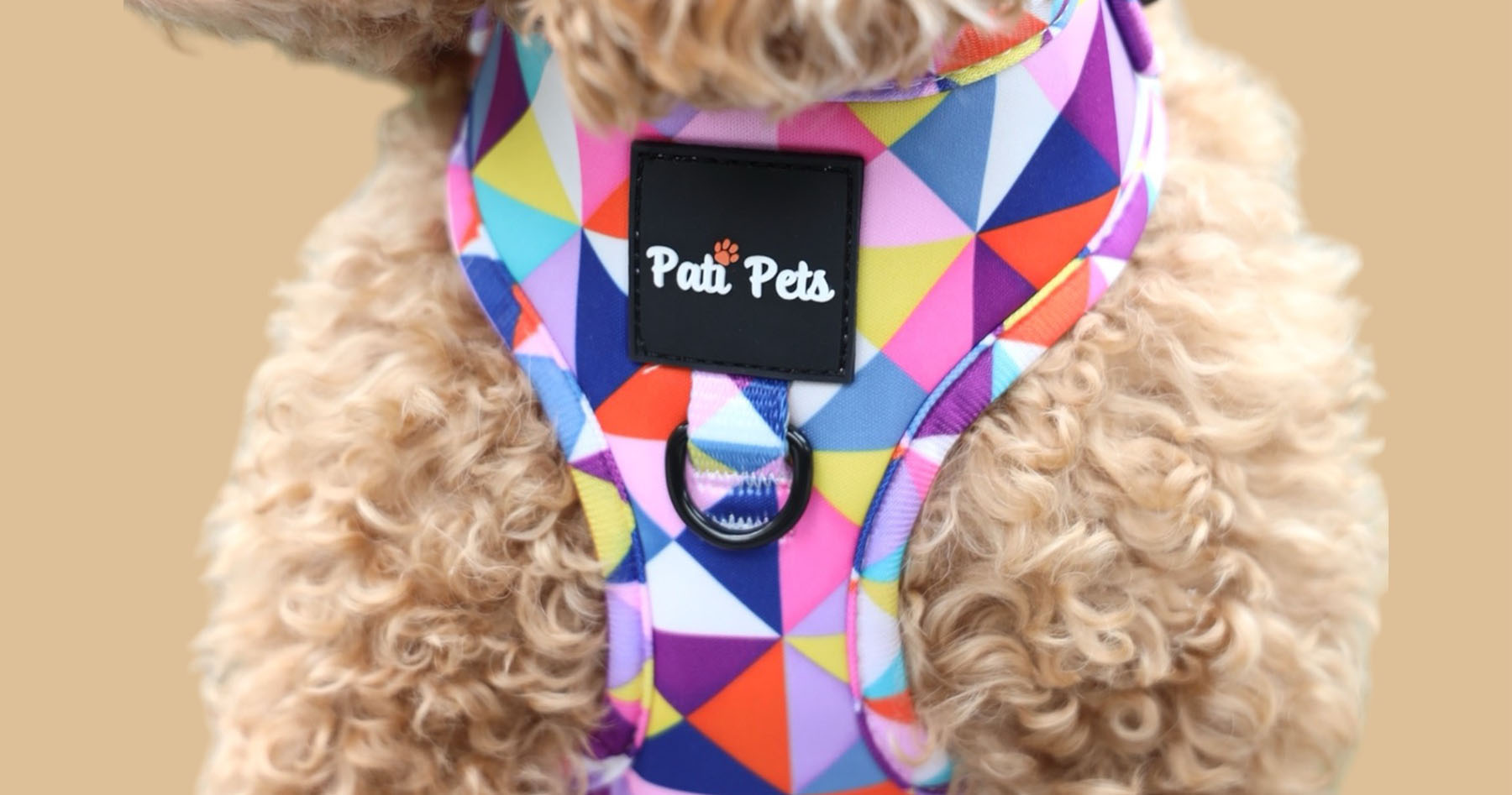 Modern pet accessories Australia-wide